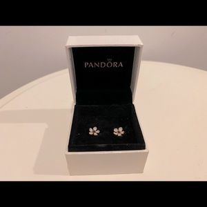 Pandora Cherry Blossom Ear Studs